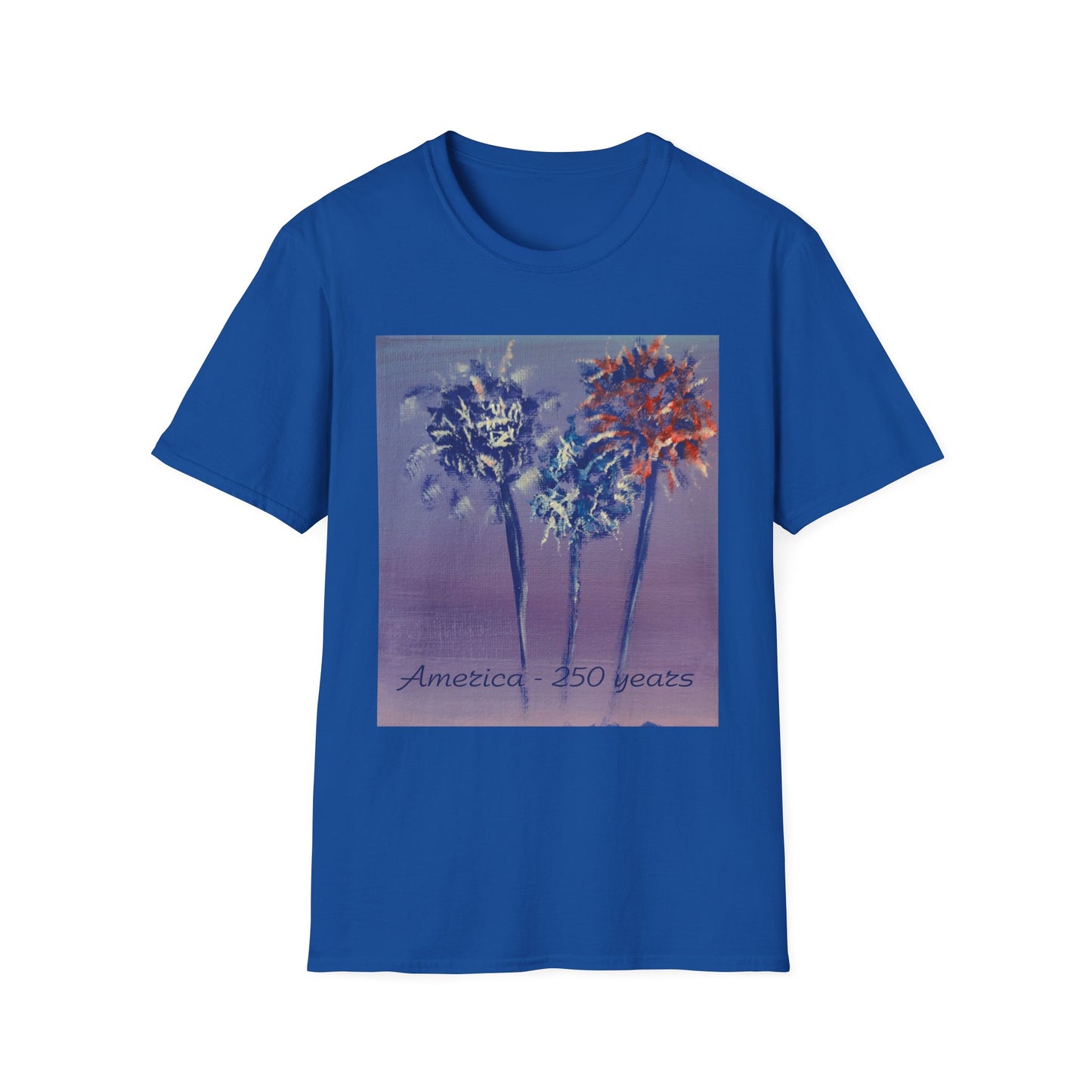 Fireworks by Amy Warrick T-Shirt —America 250 Years Graphic Tee