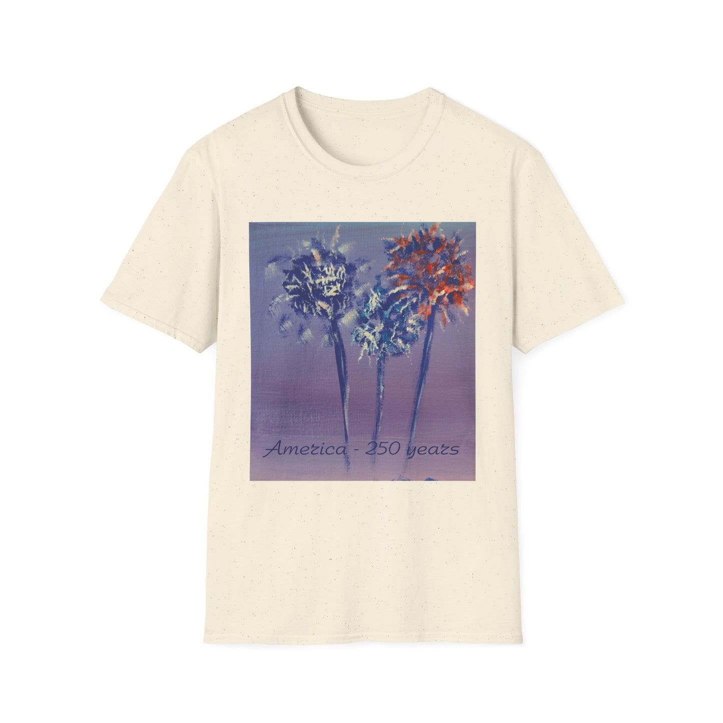 Fireworks by Amy Warrick T-Shirt —America 250 Years Graphic Tee